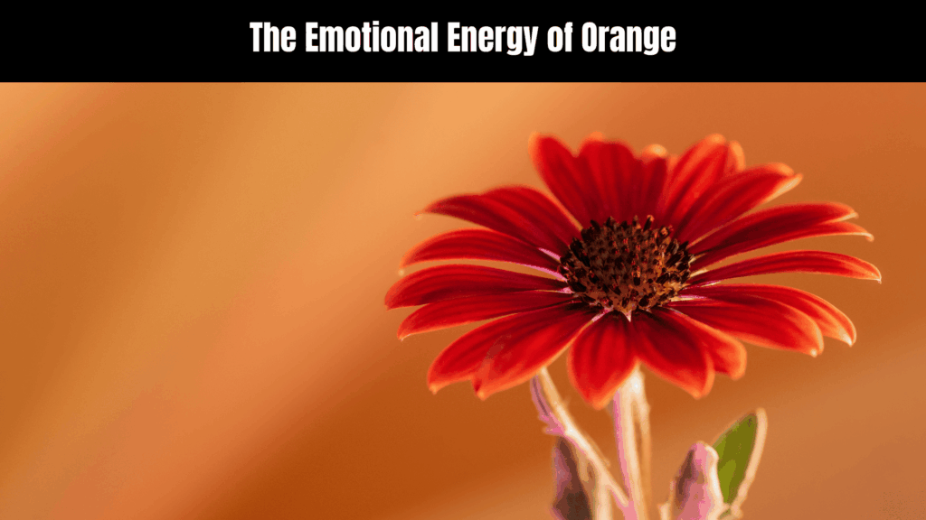Spiritual Meaning of the Color Orange