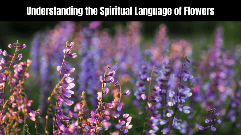 Spiritual Meanings of Flowers