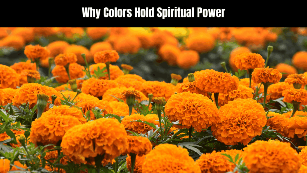 Spiritual Meaning of the Color Orange