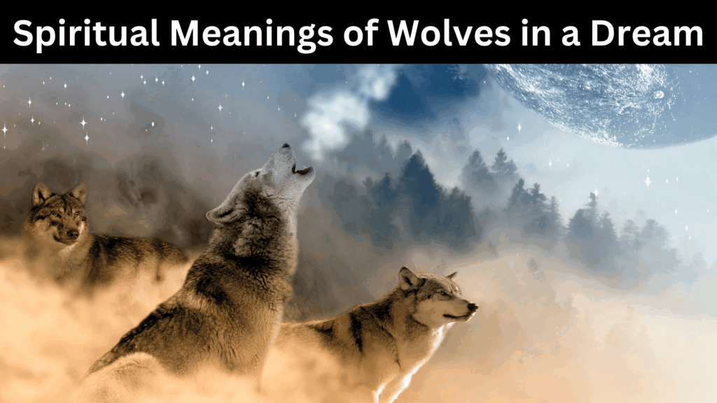 Spiritual Meanings of Wolves in a Dream