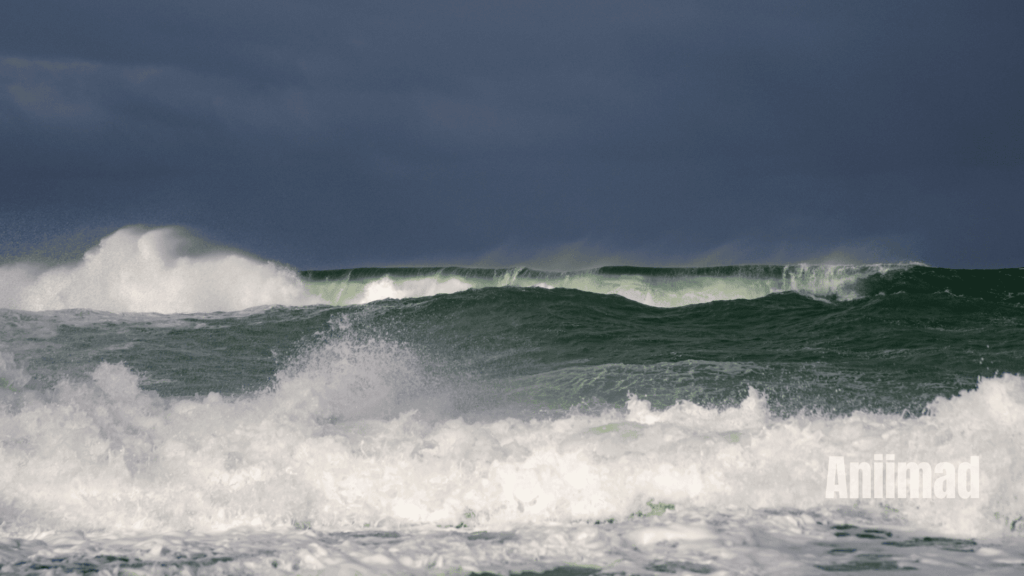 Spiritual Meanings of the Tsunami 