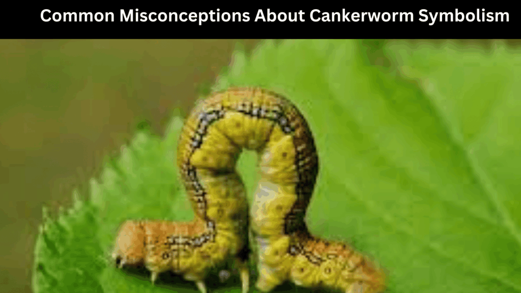 Cankerworm Spiritual Meanings