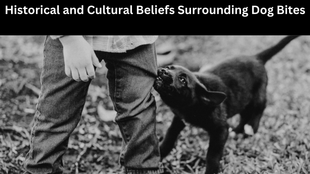 Spiritual Meanings of Dog Bite