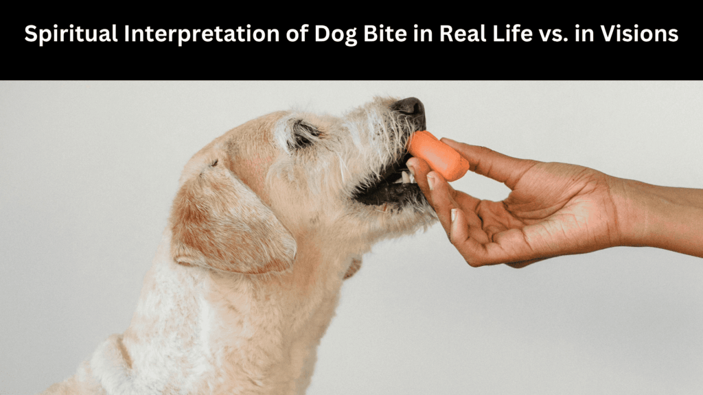 Spiritual Meanings of Dog Bite