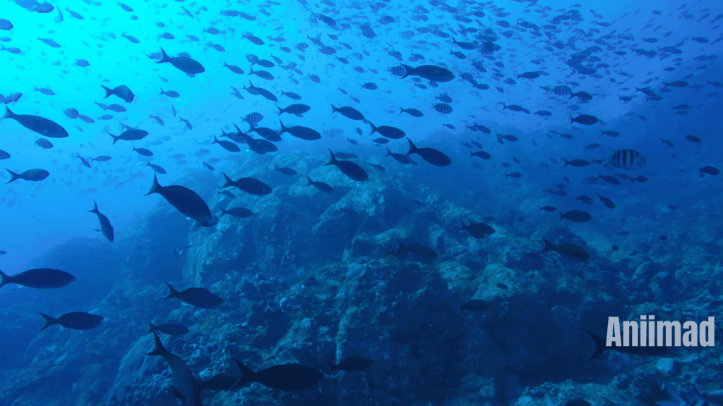 Spiritual Meanings of a Dream About Fishing