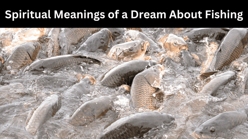 Spiritual Meanings of a Dream About Fishing