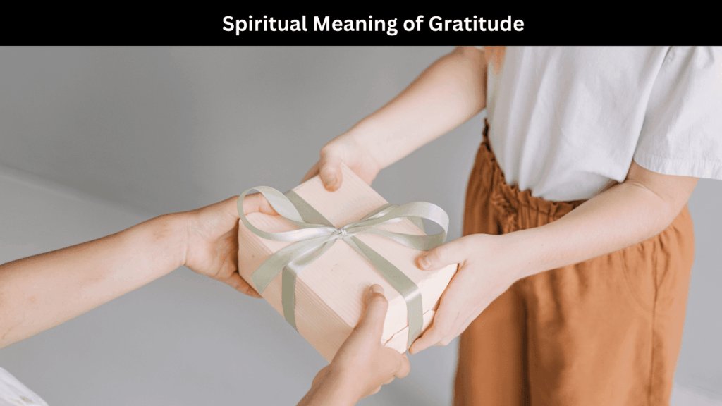 Spiritual Meaning of Gratitude