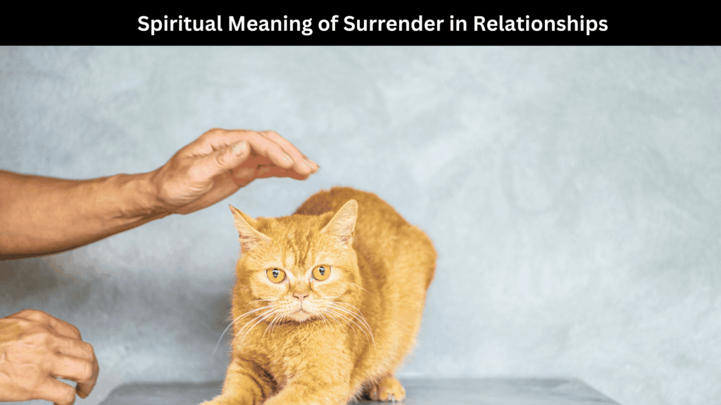 Spiritual Meaning of Surrender