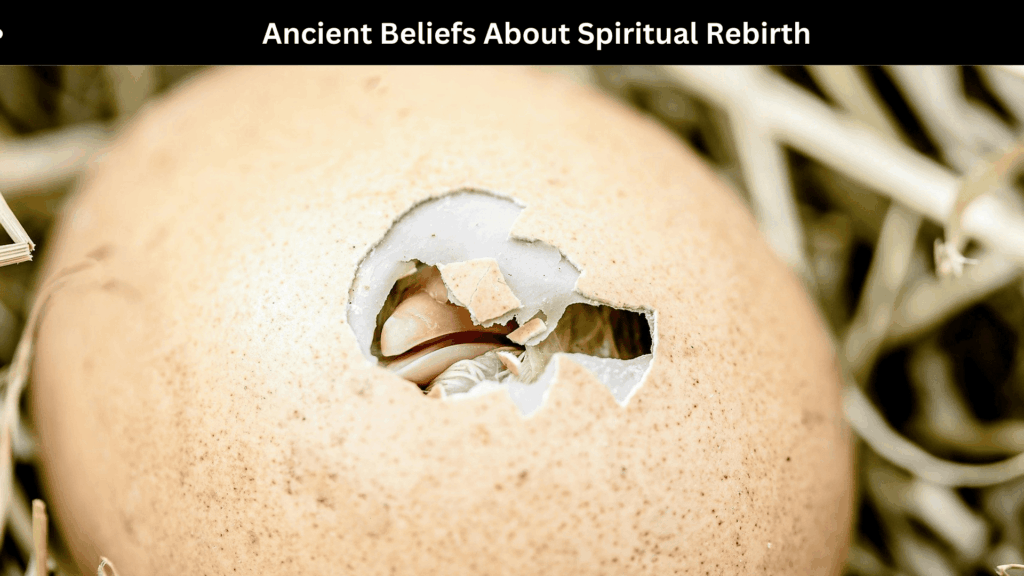 Spiritual Meaning of Rebirth