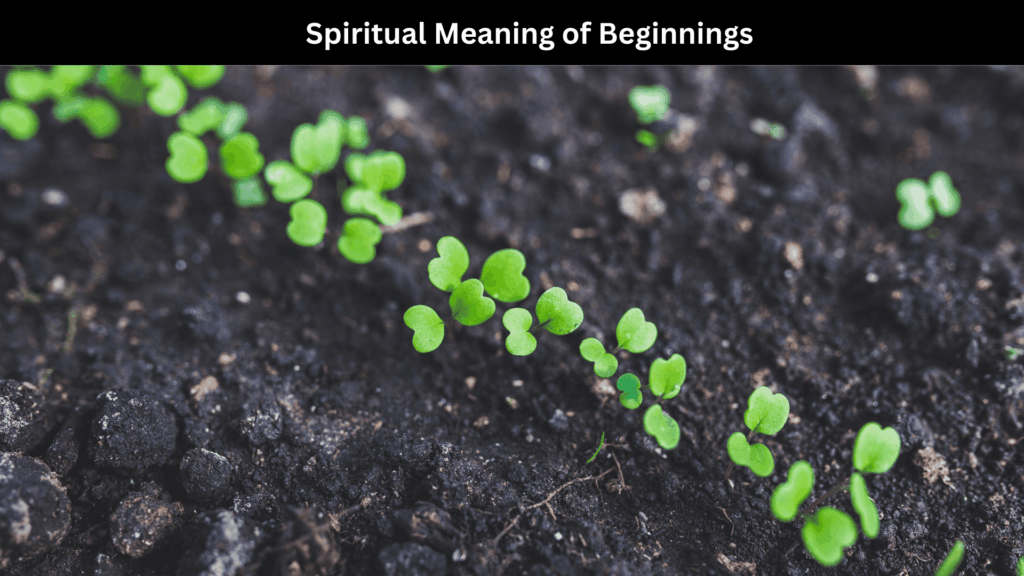 Spiritual Meaning of Beginnings