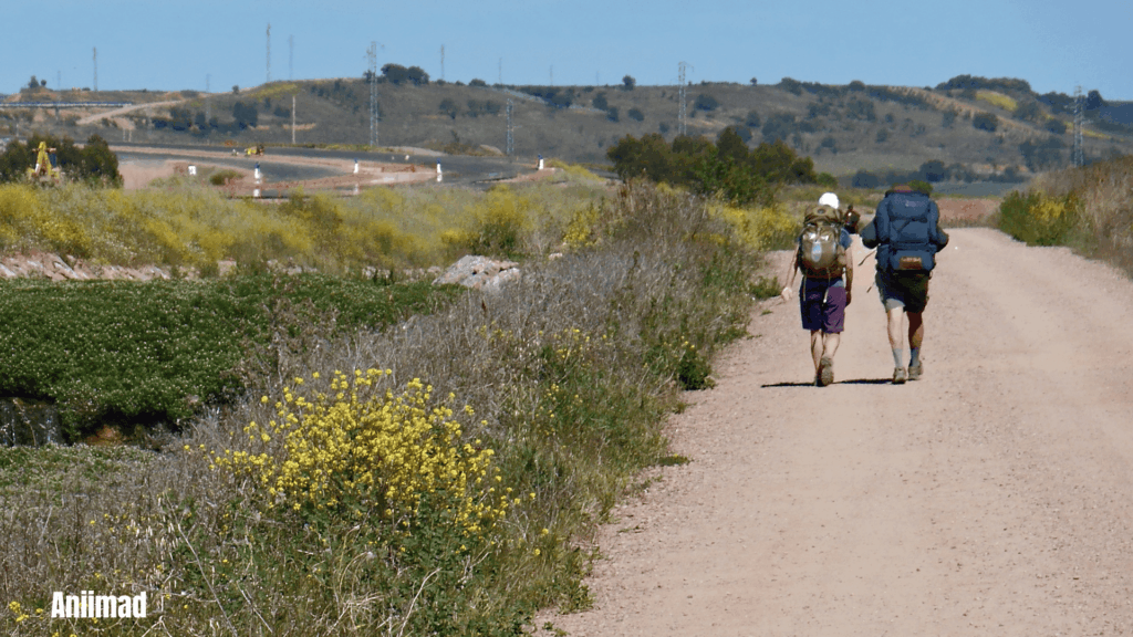 Spiritual Meaning of Pilgrimage