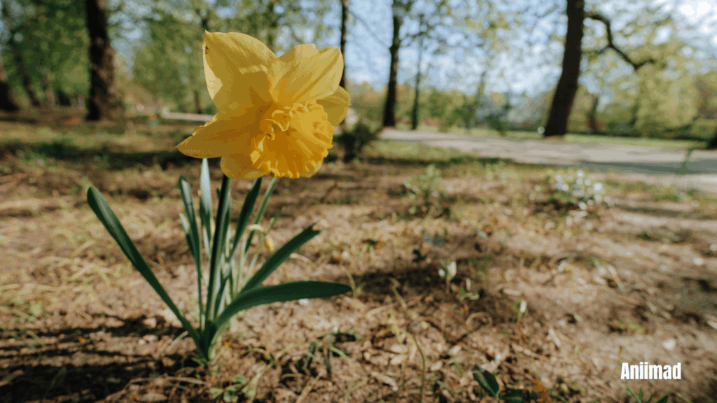 Spiritual Meaning of Rebirth