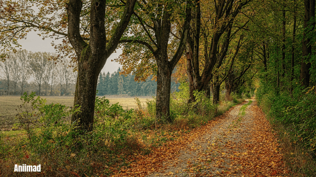 Spiritual Meaning of Seasons