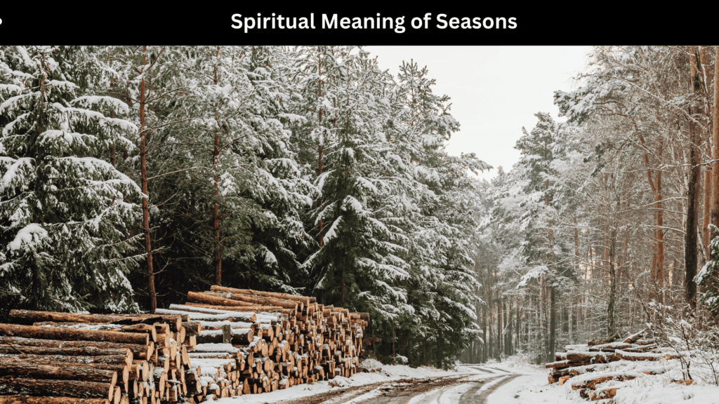 Spiritual Meaning of Seasons