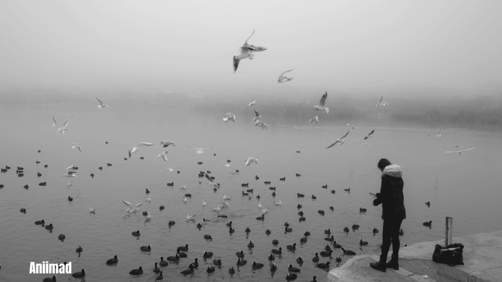 Spiritual Meaning of Solitude