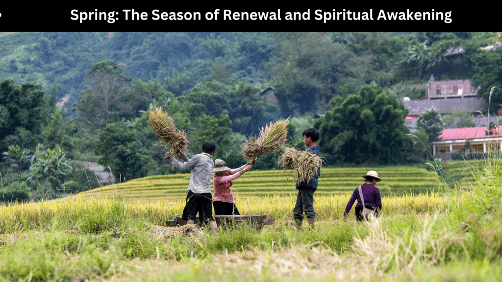 Spiritual Meaning of Seasons